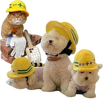 Amazon | zhendehenziyou 安全第一,猫 ヘルメット,犬用